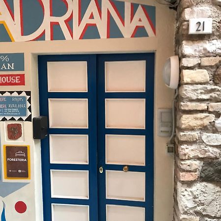 Vegan B&B Meuble Adriana Sirmione Eksteriør billede